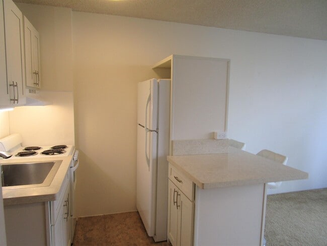 Building Photo - 1560 Kanunu St