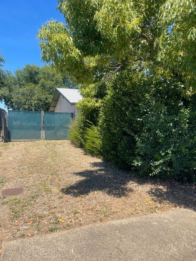 Building Photo - LARGE 4 BEDROOM 2 BATHROOM HOME IN THE PEPPERTREE SUBDIVISION