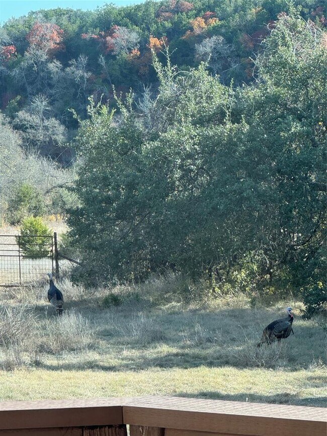 Building Photo - 1441 Gatlin Creek Rd