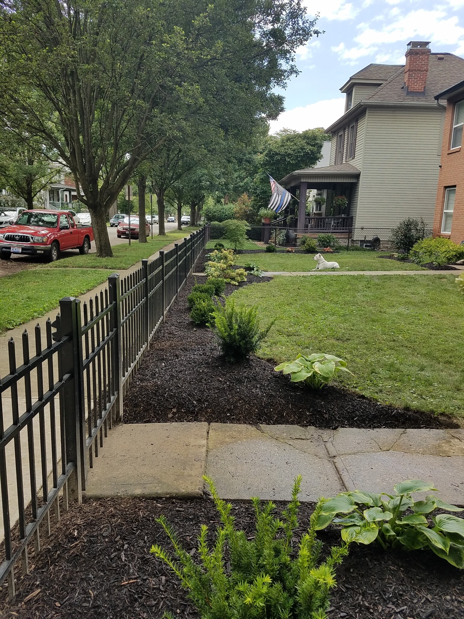 Front yard landscaping - 366 E Mithoff St
