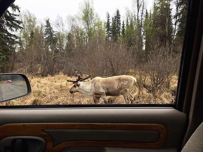 Building Photo - 32992 Johnsons Dr