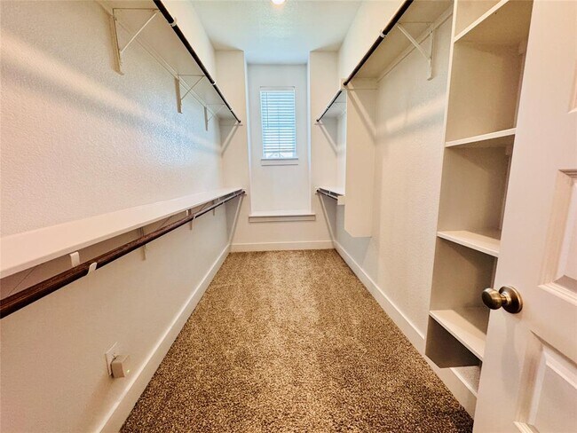Building Photo - 2605 Brushwood Mdw