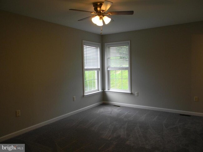 Building Photo - 103 Turtleback Ct
