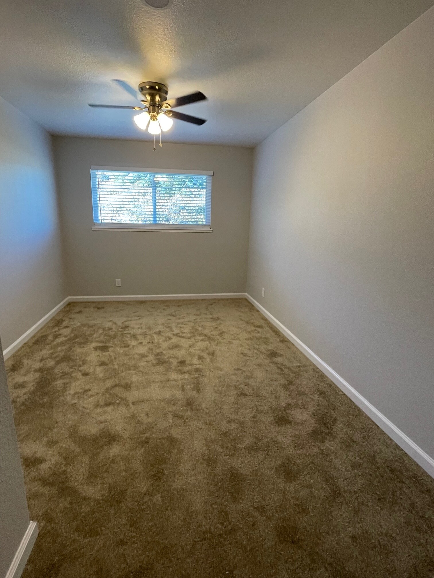 Building Photo - 1501 Berrellesa St