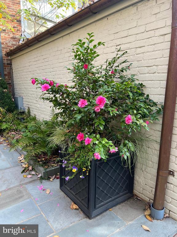 Building Photo - 413 Prince St