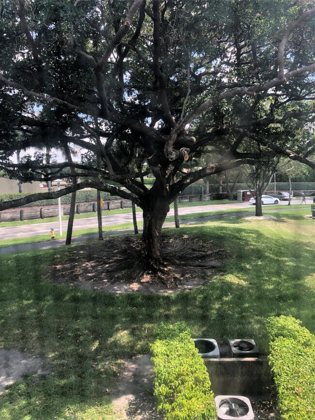 Building Photo - 151 SW 135th Terrace