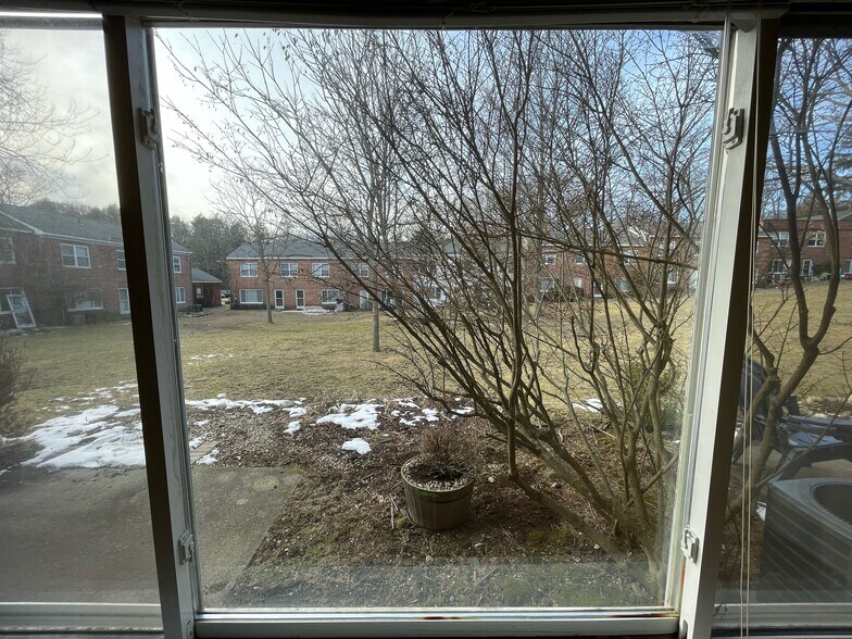 Building Photo - 202 Paine Ct