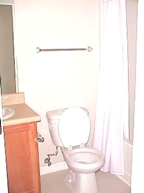 Building Photo - 111 Swaying Pine Ct