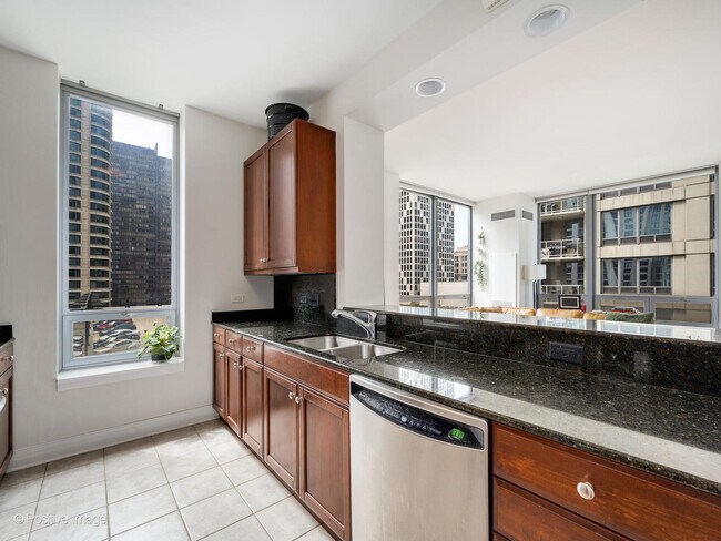 Building Photo - 600 N Lake Shore Dr
