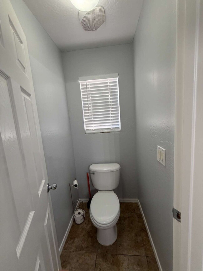 Building Photo - 2459 W Colt Ct