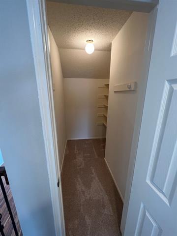 Building Photo - 6223 Cupertino Trail