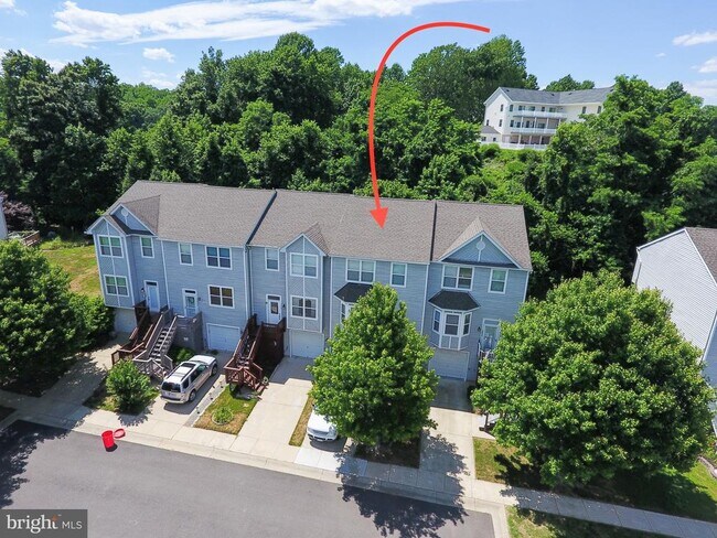 Building Photo - 8000 Delores Ct