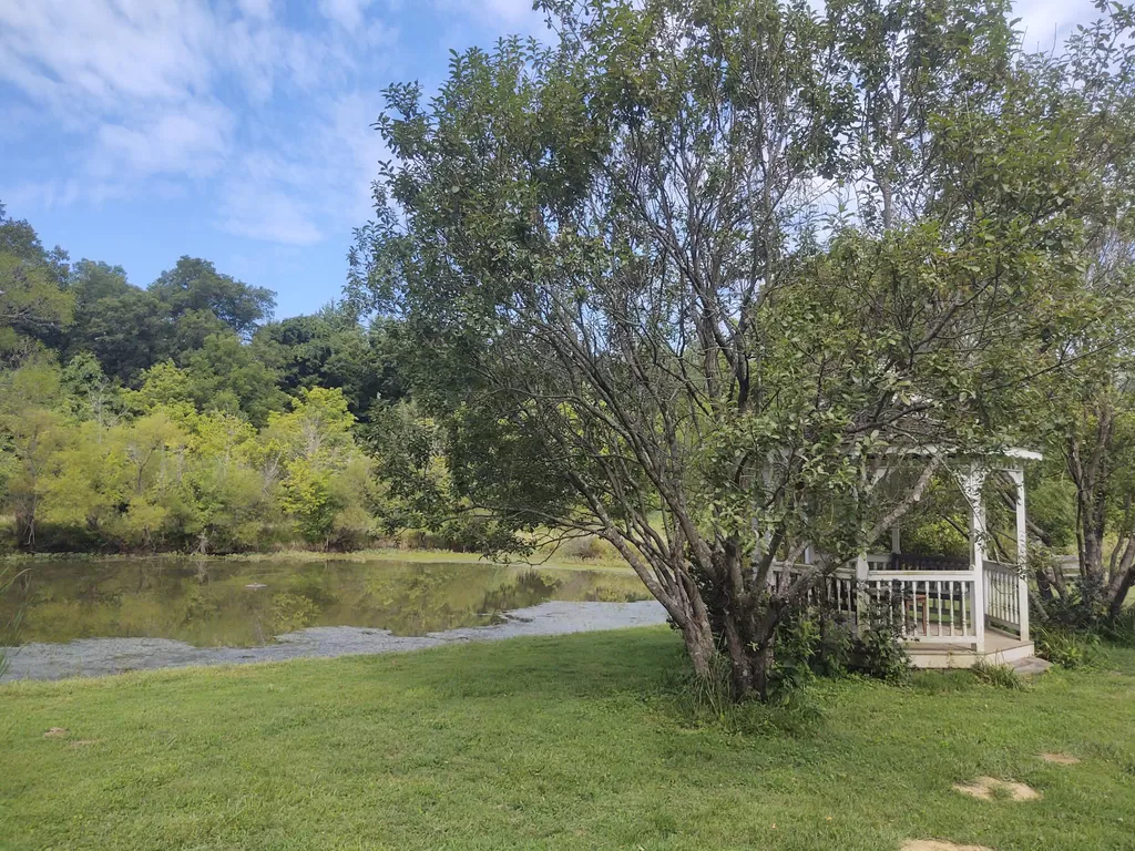 Pond with gazebo - good for fishing or relaxing. - 7923 Old 3C Hwy