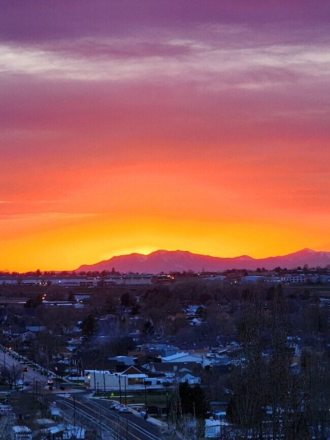Building Photo - Beautifully updated townhouse with shop / 40'x25' garage / 12' automatic garage door