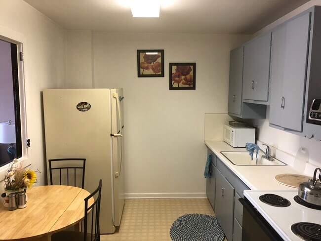 Kitchen photo 1 - 118 E Washington St