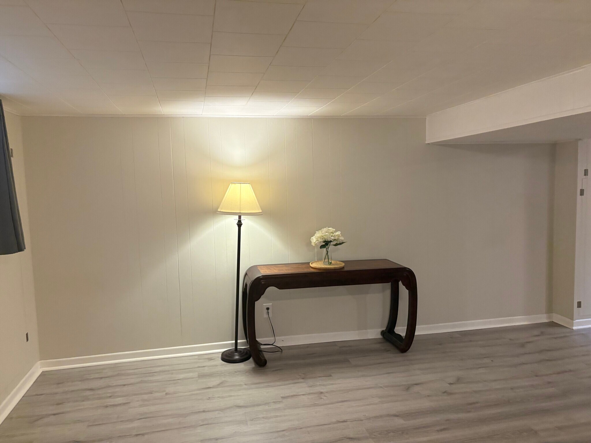 Basement - 319 Dodge Ave