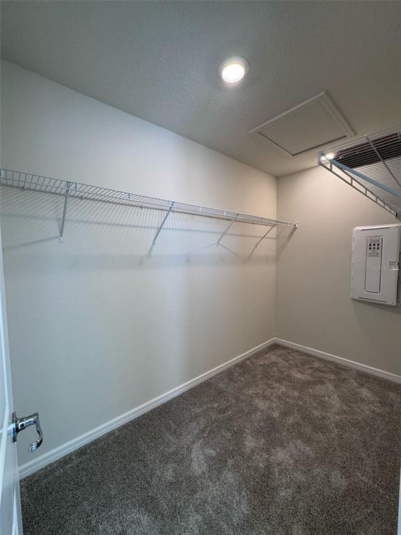 Building Photo - 2710 Fetching Trl