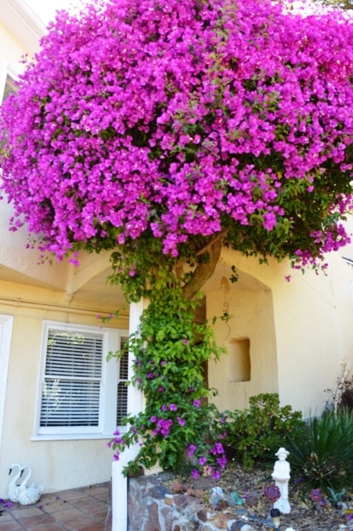 Building Photo - LowCres2