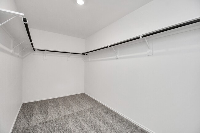 Building Photo - 3822 Zoeys Wy