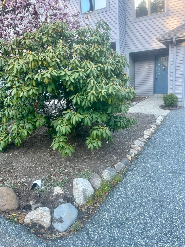 Unit Driveway - 140 Dickinson Ln