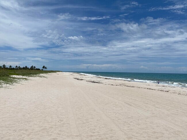 Building Photo - 956 Tulip Ln