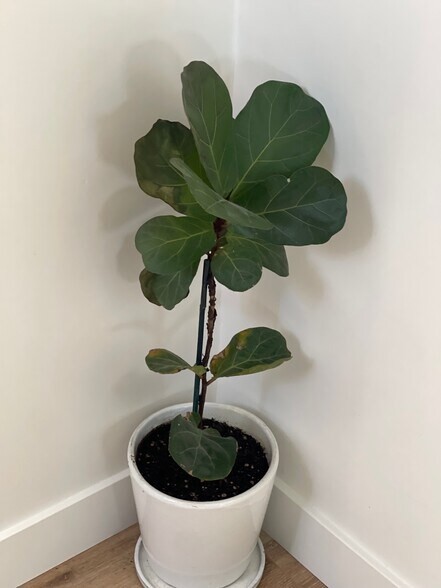 Building Photo - 14539 Weddington St