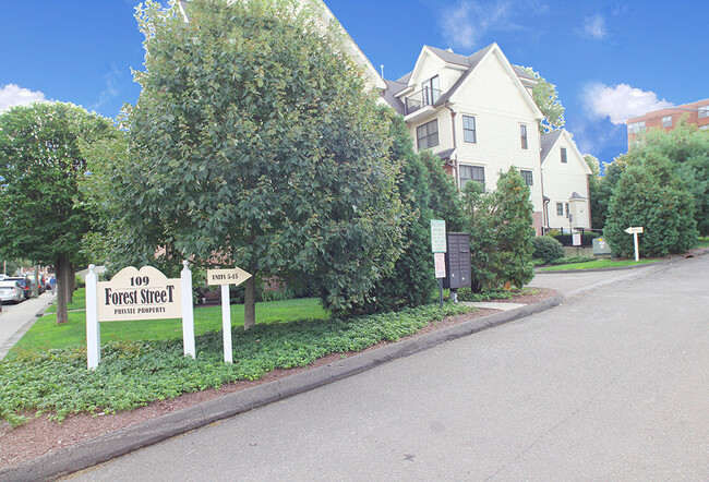 Primary Photo - 109 Forest St