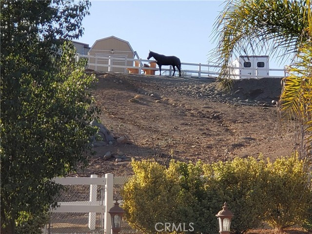 Building Photo - 23903 Trail Duster Ct
