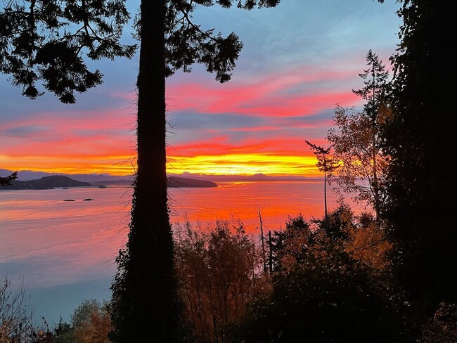 Building Photo - ***PENDING APPLICATION***Fantastic 3 Bedroom Home with Gorgeous Ocean View