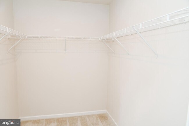 Building Photo - 118 Charlotte St