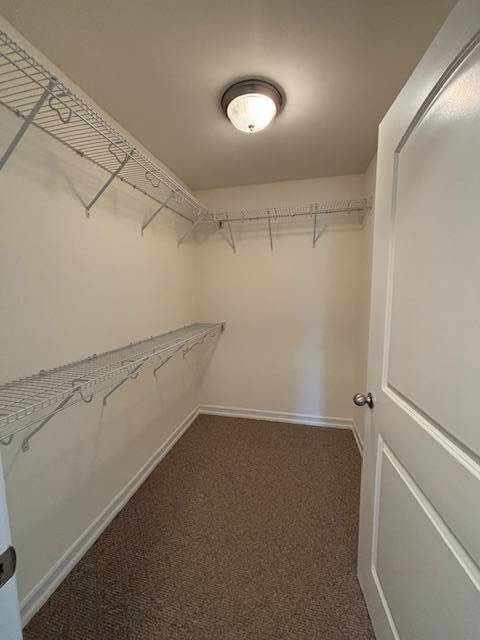 Building Photo - 140 Paddock Cir