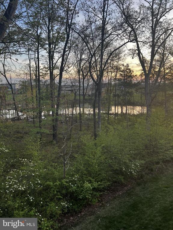 Building Photo - 42482 Dogwood Glen Square