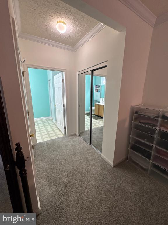 Building Photo - 5144 Brightleaf Ct