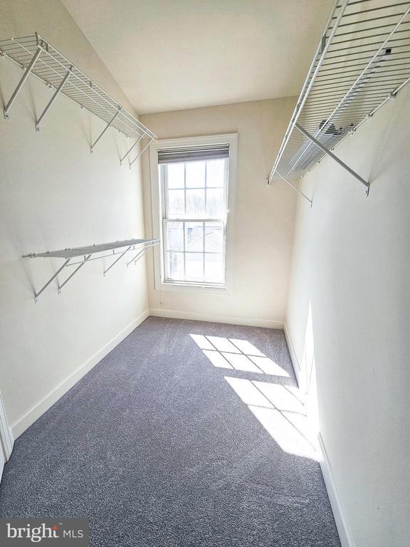 Building Photo - 13117 Tannery Ridge Dr