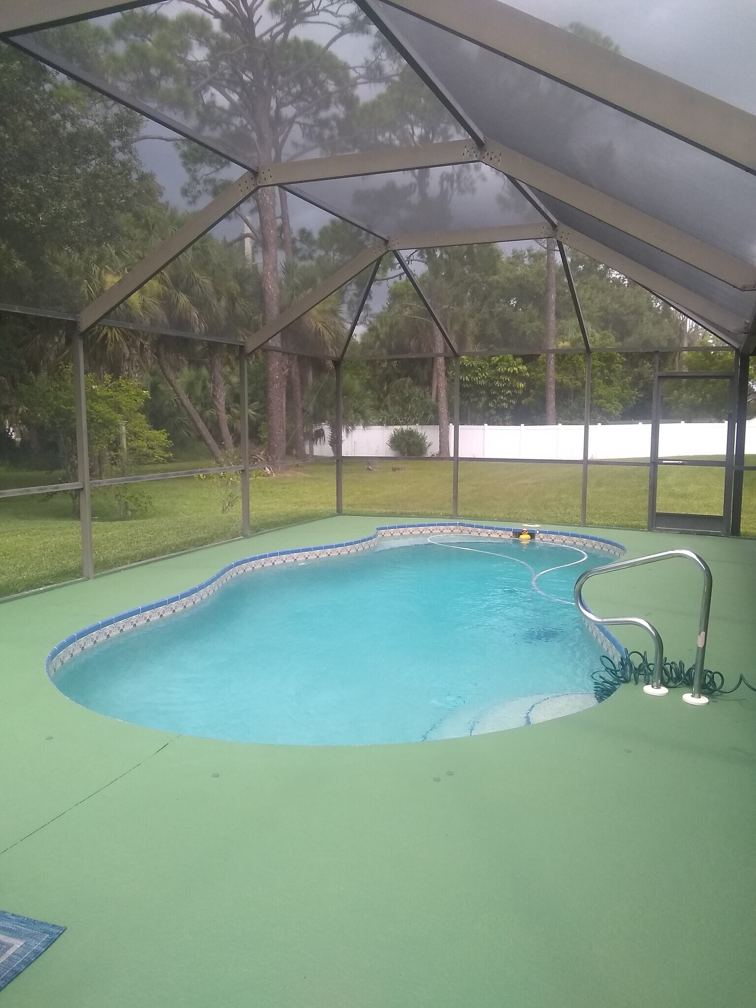 View of pool & backyard - 147 Filbert St