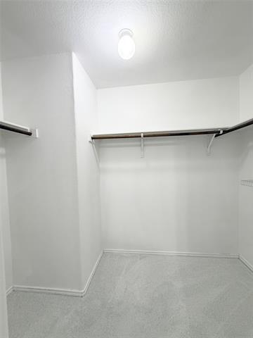 Building Photo - 918 Fleming St