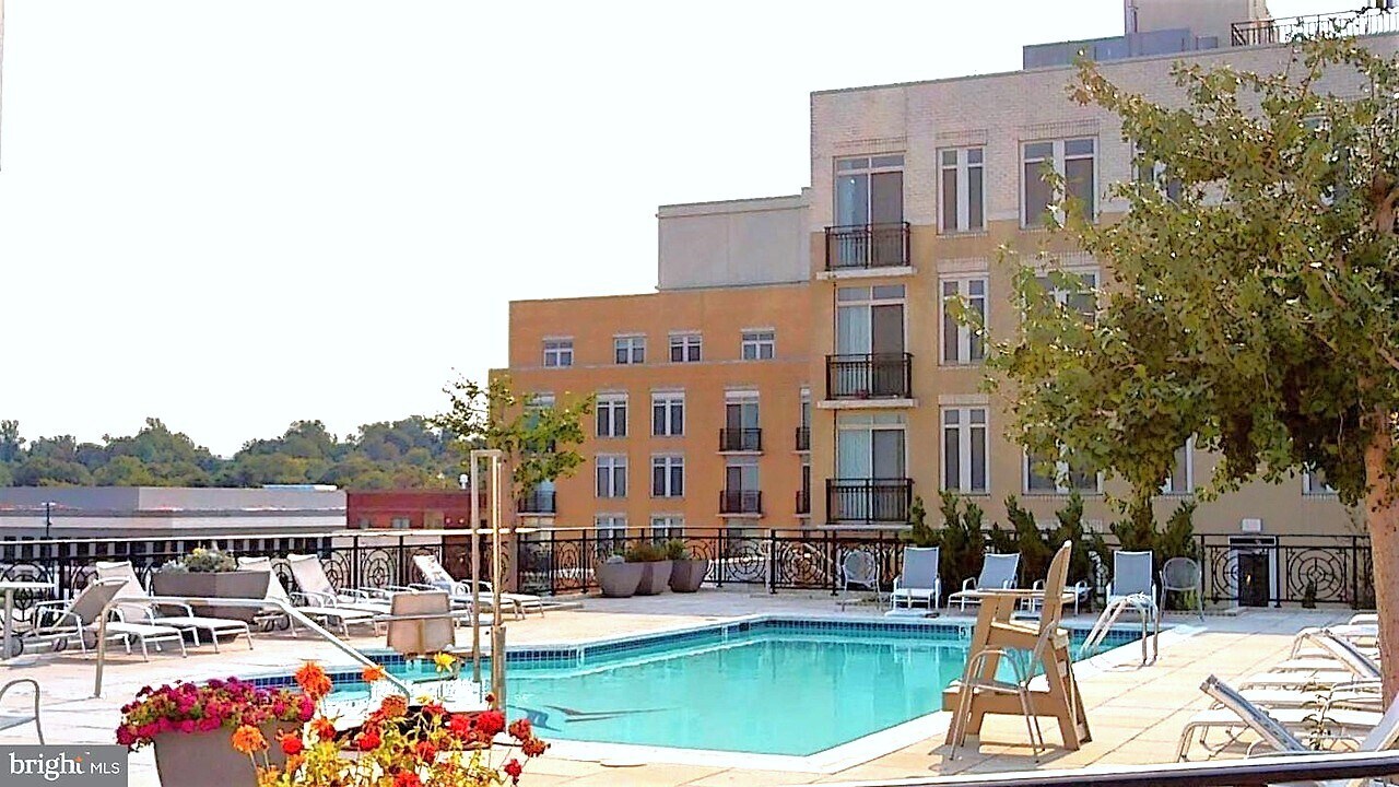 Roof Top Pool - 155 POTOMAC Psge