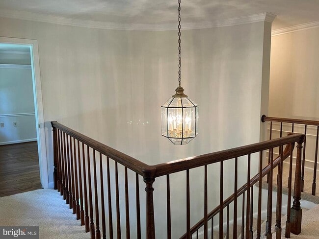 Building Photo - 10101 Alsace Ct