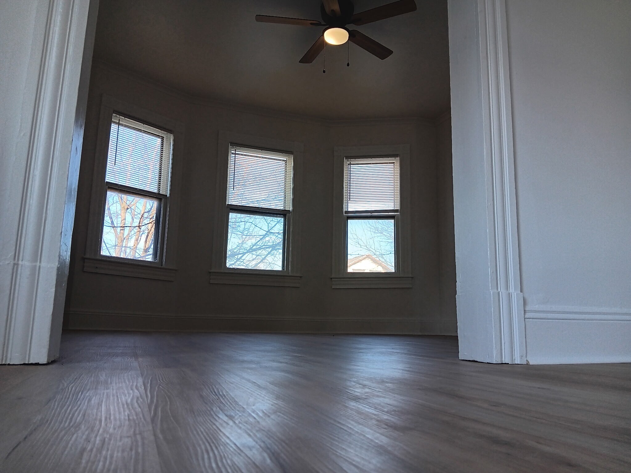 Building Photo - 536 Harrison Ave