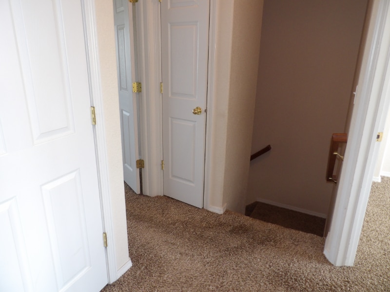 Building Photo - 4351 Susie View
