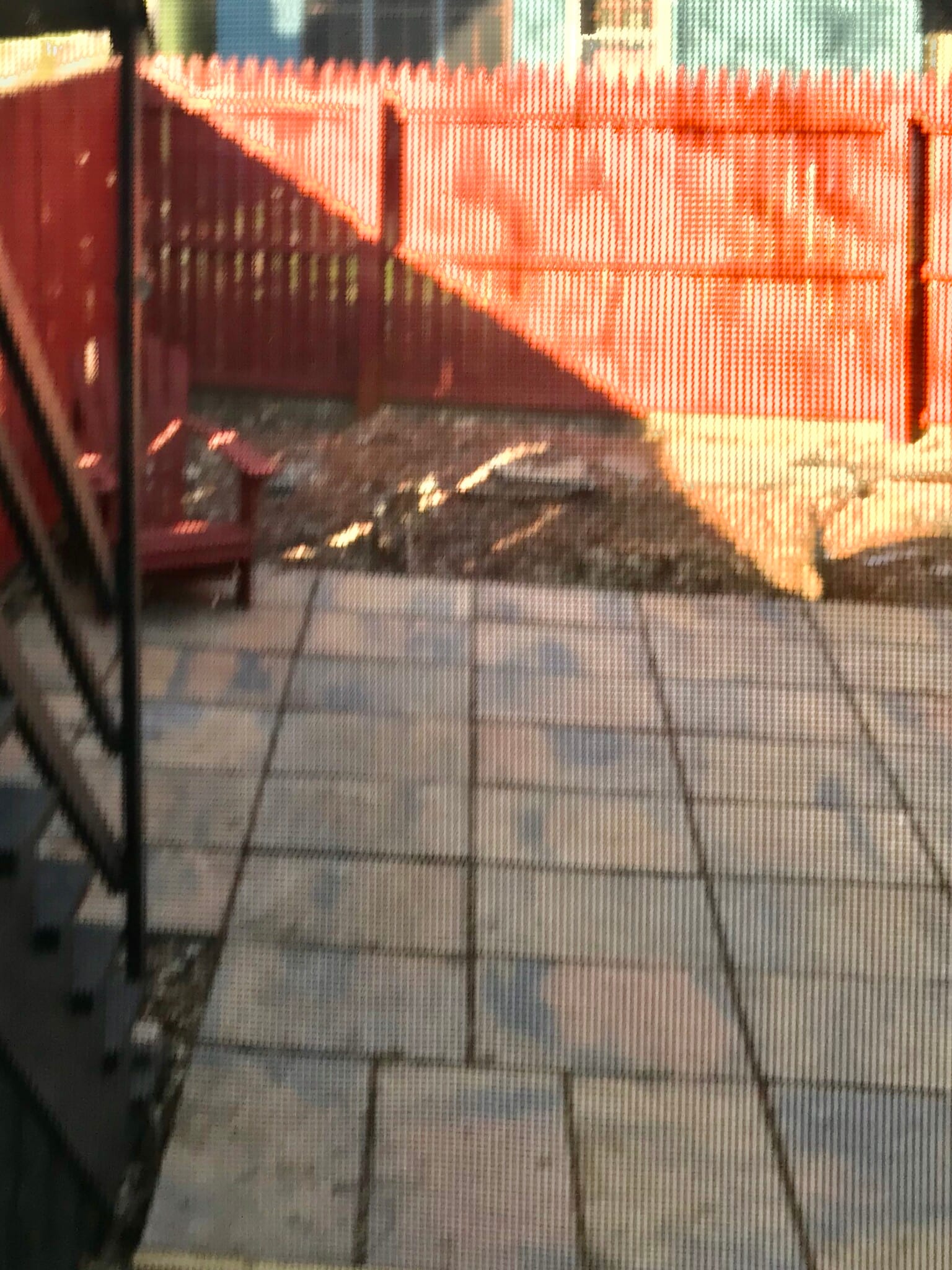 Fenced in backyard with patio - 219 Elm St