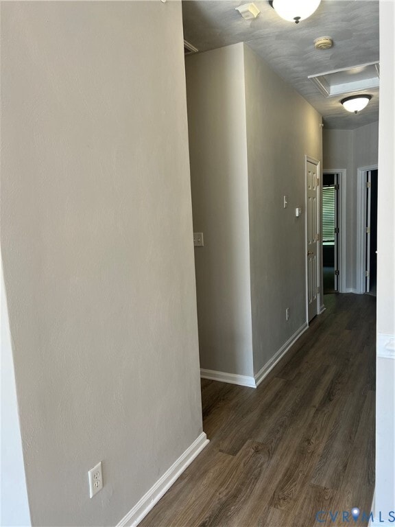 Building Photo - 11923 Shire Walk Ln