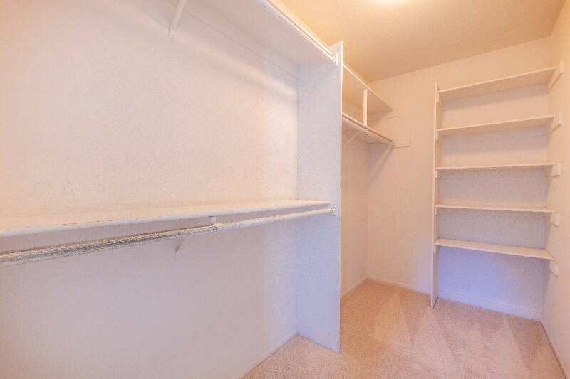 Building Photo - 2658 Escala Cir