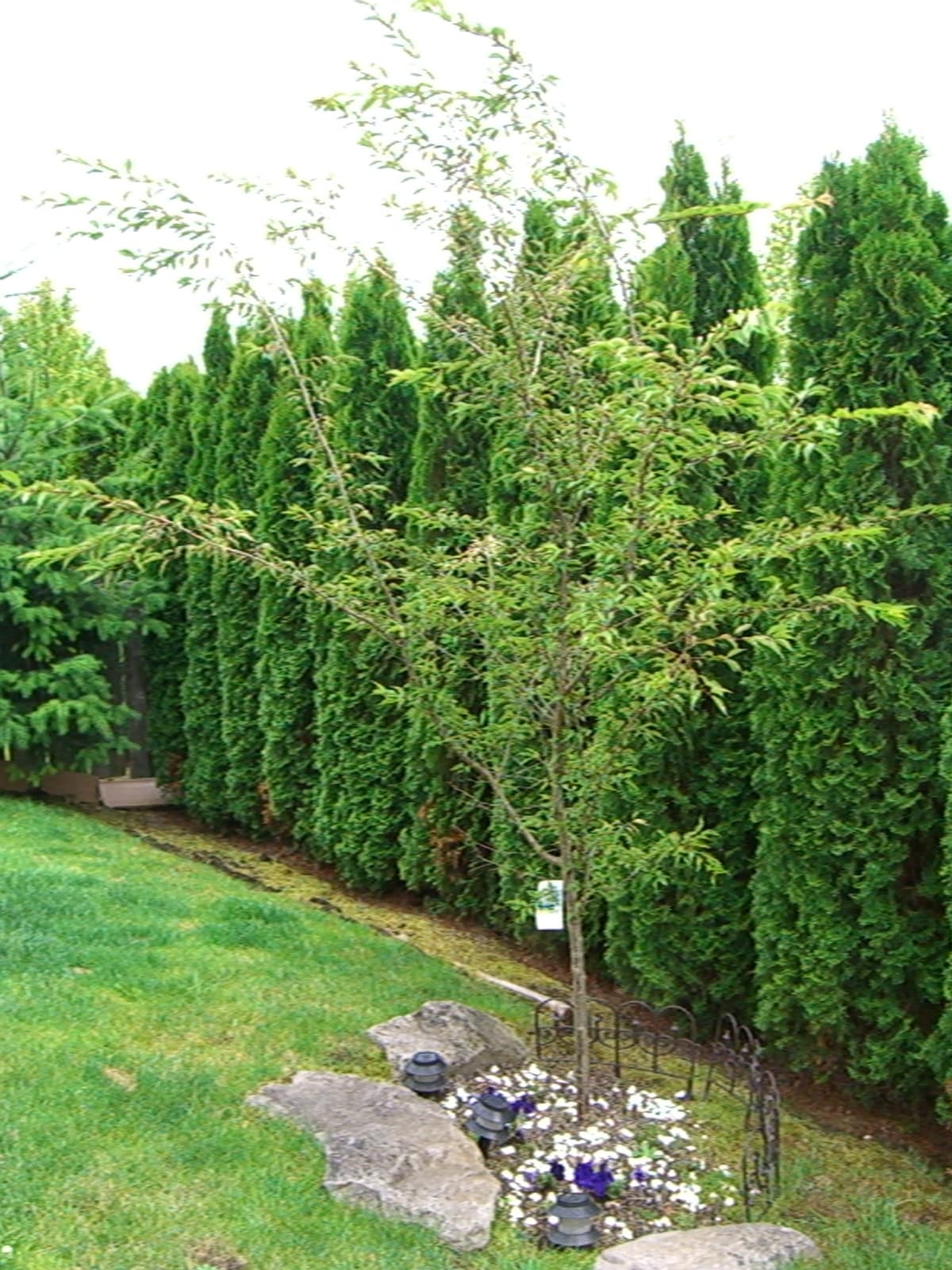 Building Photo - 20456 SW Midline Street