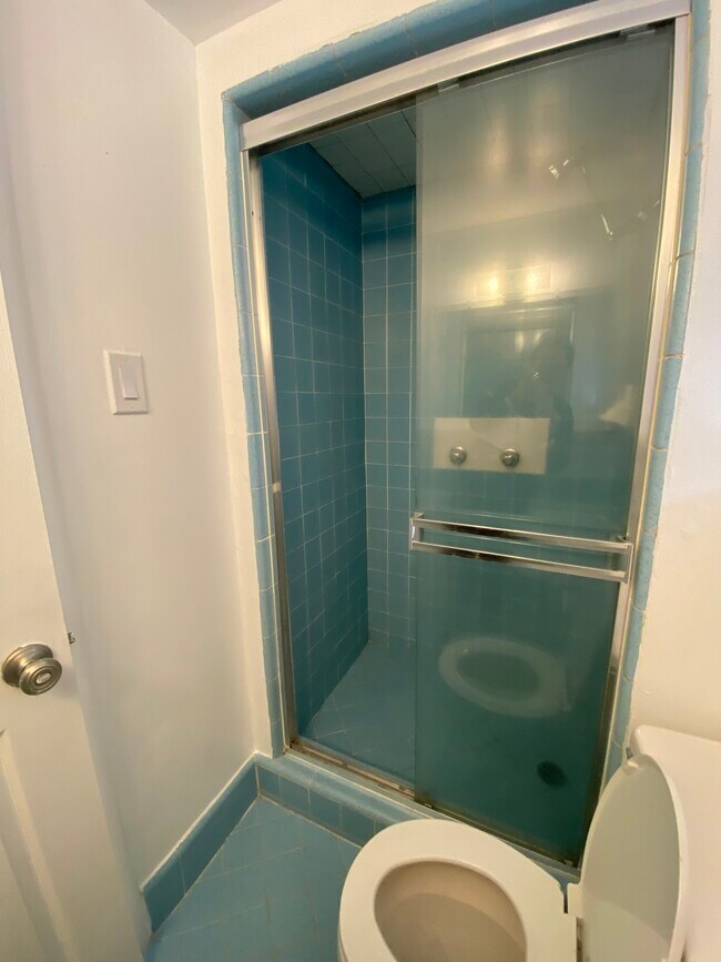 Shower - 815 19th St