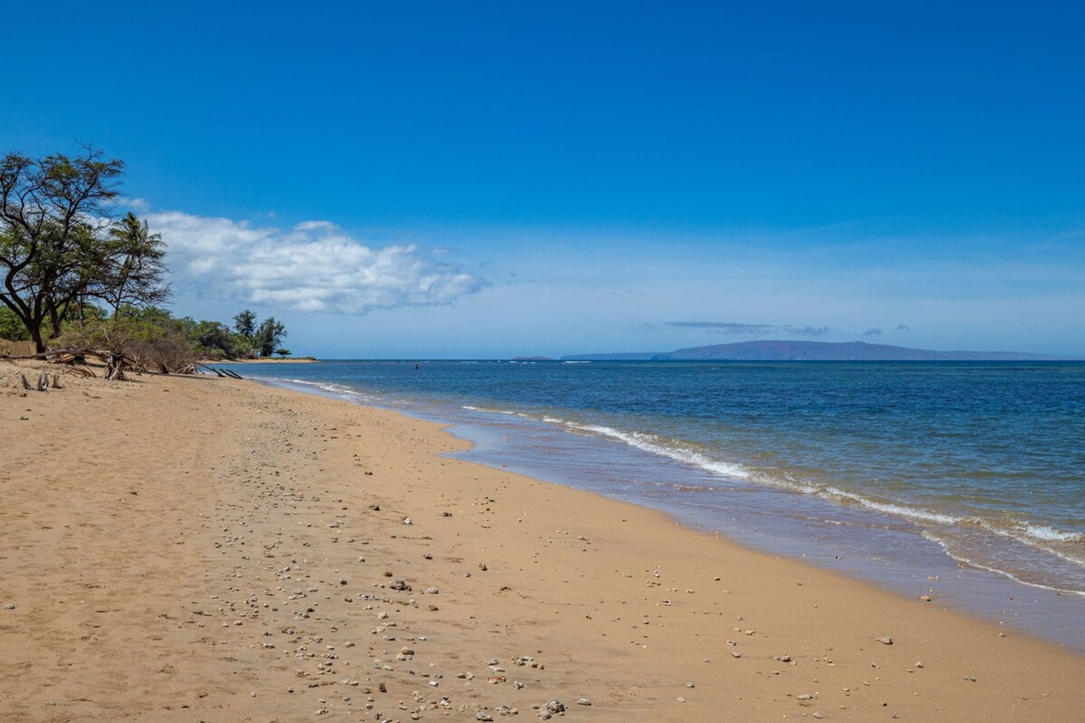 Building Photo - 938 S Kihei Rd
