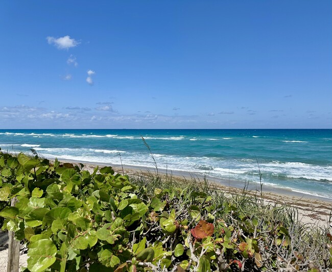 Building Photo - 5480 N Ocean Dr