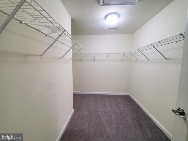 Building Photo - 192 Cilento Dr