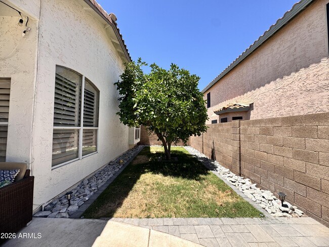 Building Photo - 1461 S Cholla Pl