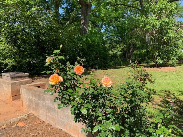 Building Photo - 142 Hiawassee Ave